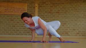 Seitliche Krähe - Ananda Yogalehrerausbildung Wien Hietzing
